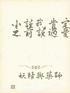 小说我肯定很久之前说过爱你小说