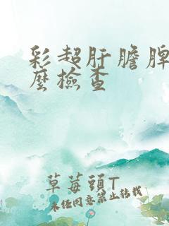 彩超肝胆脾胰怎么检查