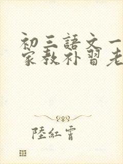 初三语文一对一家教补习老师