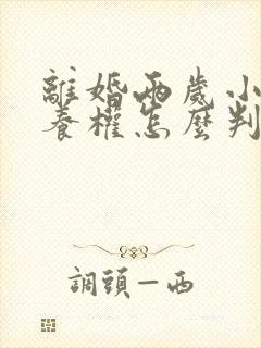 离婚两岁小孩抚养权怎么判