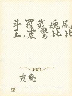 斗罗武魂风暴龙王,震惊比比东