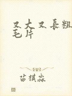 又大又长粗少妇毛片