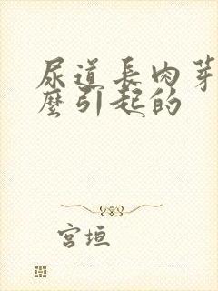 尿道长肉芽是什么引起的