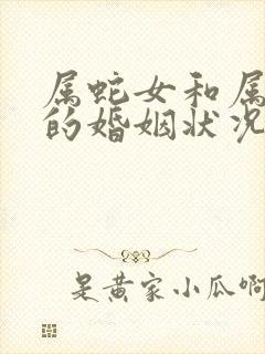 属蛇女和属兔男的婚姻状况
