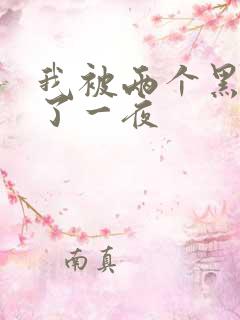 我被两个黑人包了一夜