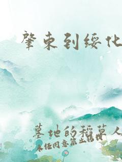 肇东到绥化客车