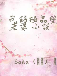 我的极品双胞胎老婆 小说