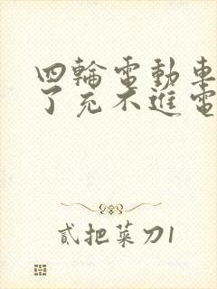 四轮电动车放久了充不进电怎么回事