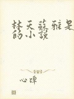 林天苏雅是主角的小说