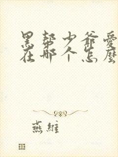 黑帮少爷爱上我在哪个怎么看