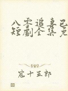 八零追妻已太迟短剧全集免费观看