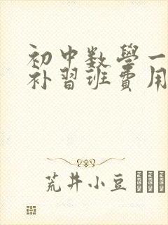 初中数学一对一补习班费用