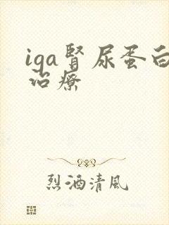 iga肾尿蛋白治疗