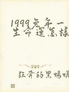 1999兔年一生命运怎样女