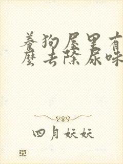 养狗屋里有味怎么去除尿味