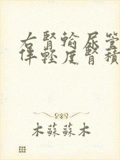 右肾输尿管结石伴轻度肾积水