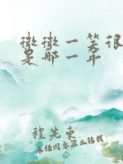 微微一笑很倾城是哪一年