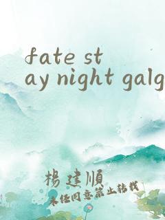 fate stay night galgame