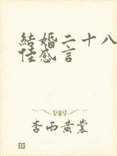 结婚二十八年最佳感言