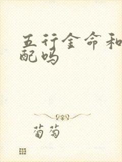 五行金命和木命配吗