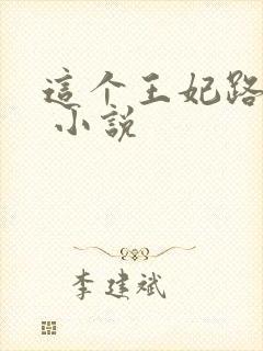 这个王妃路子野 小说