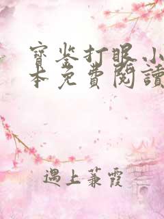 宝鉴打眼小说全本免费阅读