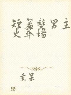 短篇双男主追妻火葬场