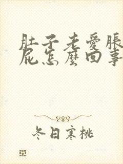 肚子老爱胀气放屁怎么回事