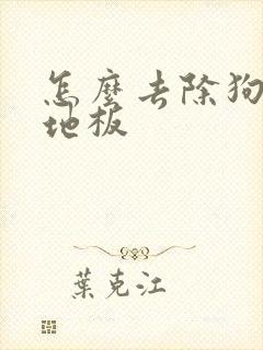 怎么去除狗尿味地板