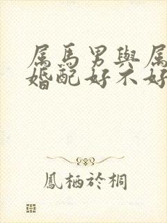 属马男与属龙女婚配好不好