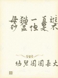 母猫一直进出猫砂盆但是不尿