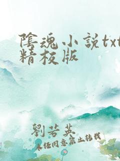 阴魂小说txt精校版