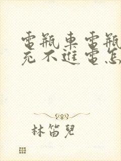 电瓶车电瓶亏电充不进电怎么修复