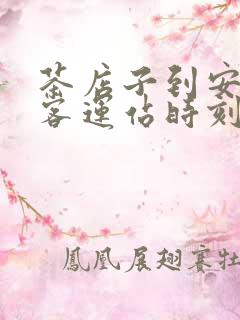 茶店子到安岳县客运站时刻表