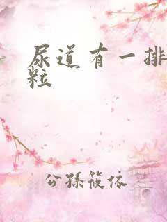 尿道有一排小肉粒