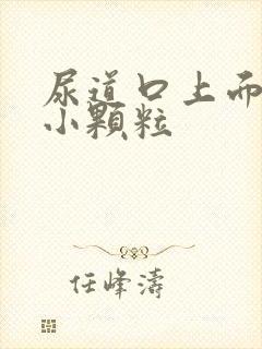 尿道口上面长了小颗粒