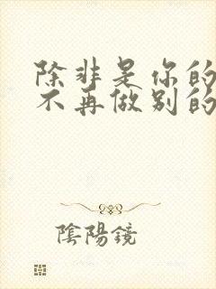 除非是你的温柔不再做别的追求这是什么歌