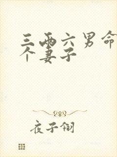 三两六男命有几个妻子