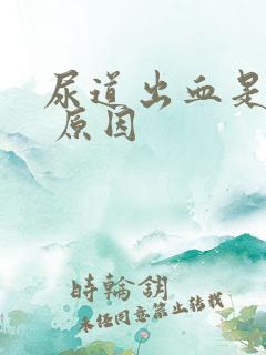 尿道出血是什么 原因