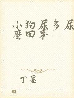 小狗尿多尿频怎么回事