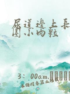 尿道边上长了一圈小肉粒