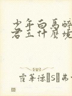 少年白马醉春风君玉什么境界