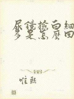 尿镜检白细胞增多是怎么回事