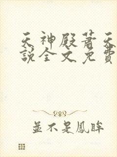 天神殿萧天策小说全文免费阅读