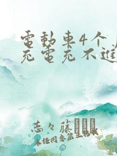 电动车4个月没充电充不进电