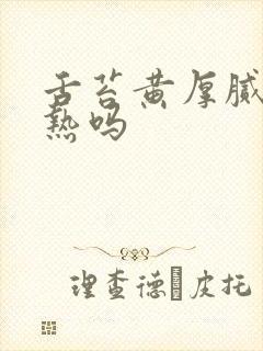 舌苔黄厚腻是湿热吗