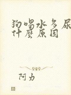 狗喝水多尿多是什么原因