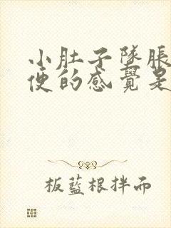 小肚子坠胀想大便的感觉是怎么回事