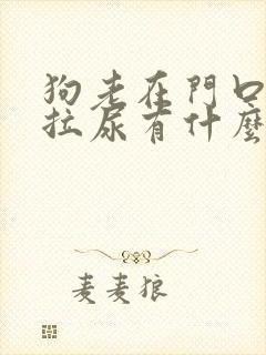 狗老在门口拉屎拉尿有什么办法解决