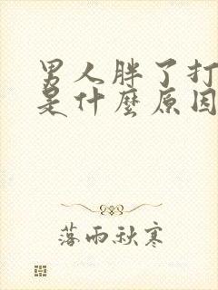 男人胖了打呼噜是什么原因